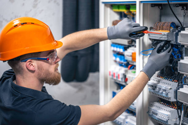 Best Electric Panel Repair  in Belterra, TX